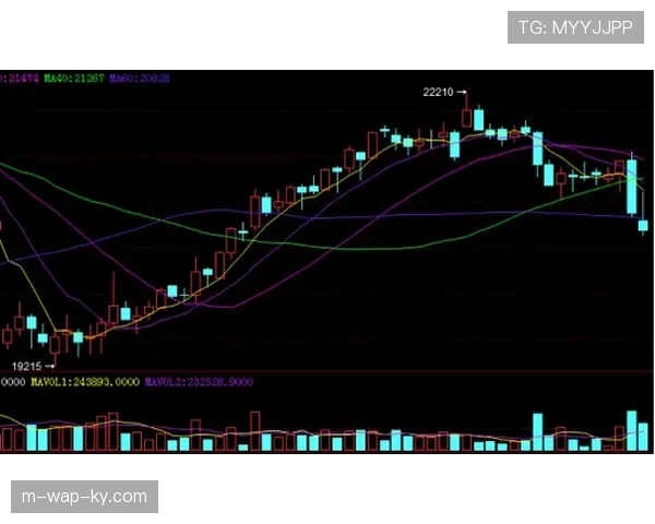 乌度卡轮换策略暴露失衡问题 过度依赖五大阵容致空间拥堵